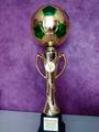 Поздравляем победителей зональных областных соревнований среди детей и подростков по футболу «Кожаный мяч» на призы Президентского спортивного клуба!